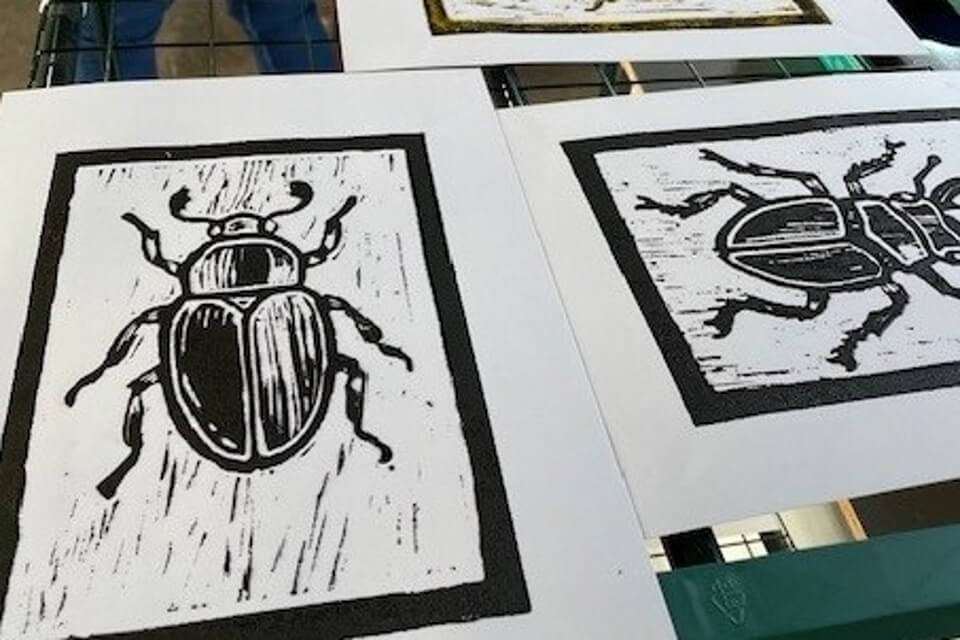 Black and white lino prints of a beetle.